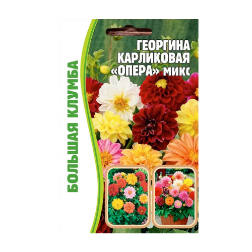 ������ ������ �������� ����� ���� ���������� 20 ����� ������ ������ ( 2 �������� � ������) ����