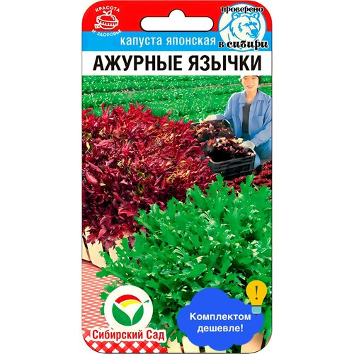 ������ ������ ������ ������ ��������� ��� 