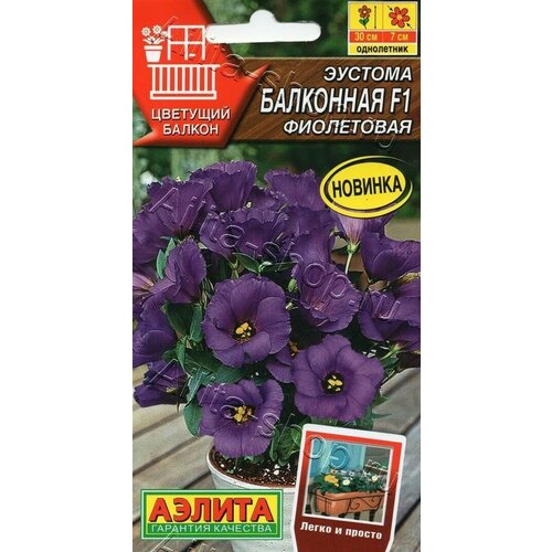 ������ ������ ������� ��������� ���������� F1 ( 1 �������� ), ������ ����