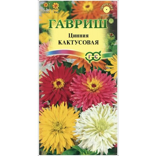 ������ ������ ������ ����������, 1 �����, ������ 0,5�, ������ ����