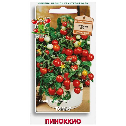 ������ ������ ������ ����� ����� �������� 12 ��. ����