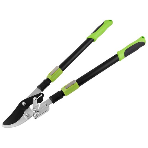 ������ ������ ��������  ���������������� 0207 1010 ����