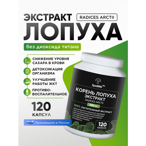 ������ ������ ������ ������ ������� 120 �� �� 500 �� ����