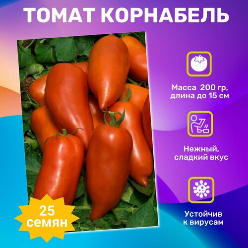 ������ ������ ������ ������ ��������� F1 25��. ���������� �������� ����