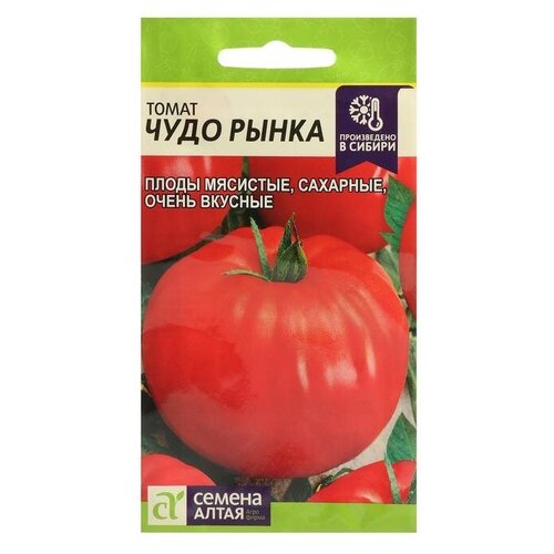 ������ ������ ������ ����� 