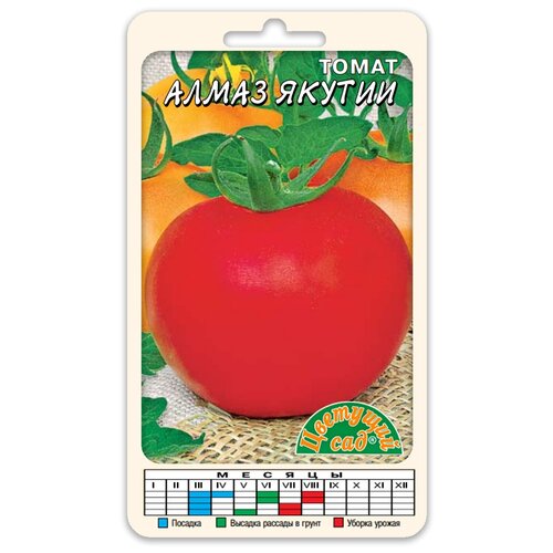 ������ ������ ������ �������� ��� 