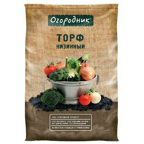 ������ ������ ���� ��������� ��������, 9 � ����