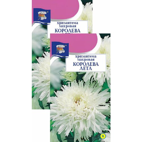 ������ ������ ���������� ����������� �������� ���� (0,03 �), 2 ������ ����