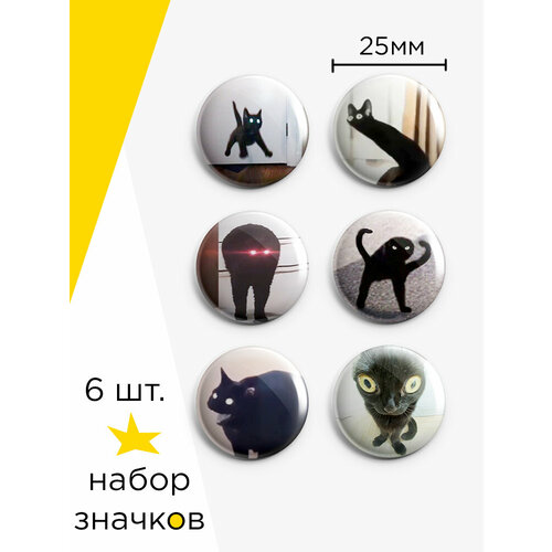 ������ ������ ����� ������� ���� ׸���� ����, 6 ��, 25 �� ����