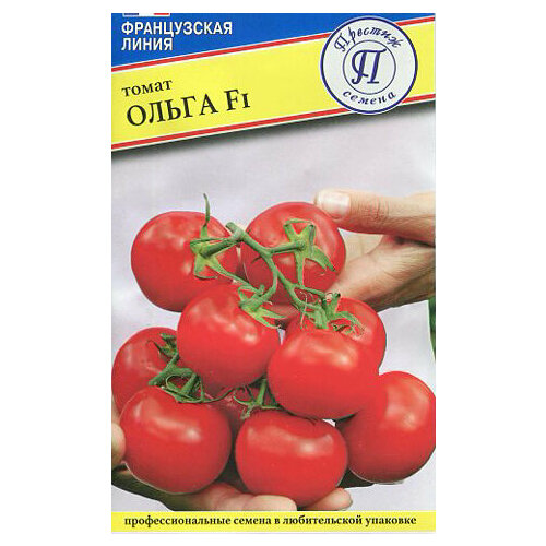 ������ ������ ������ ����� ����� F1 5�� ��� (�������) ����