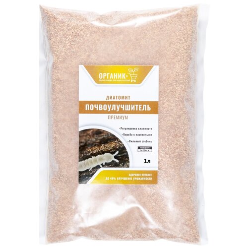 ������ ������ ��������� �������� 1� ��������������� ����