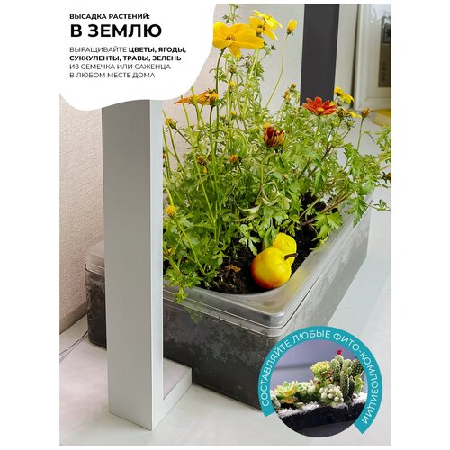 ������ ������ ����������� ���������- �������������� ��� ��������/ �������� ������� �����/ ����� ��� Vegebox V-Frame ����