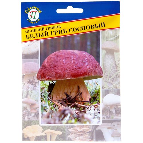 ������ ������ ������� ������ ����� ���� �������� 50 �� ����