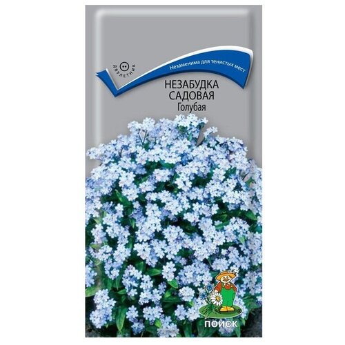 ������ ������ ��������� ������� ������� 0,2� ����