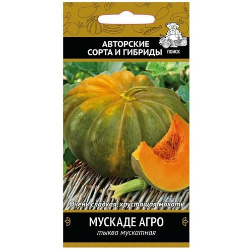 ������ ������ ������ ����� ������� ���� 10�� (� �����) ��������� ����