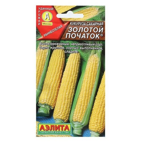 ������ ������ ������ �������� �������� ������� �������, 7� ����