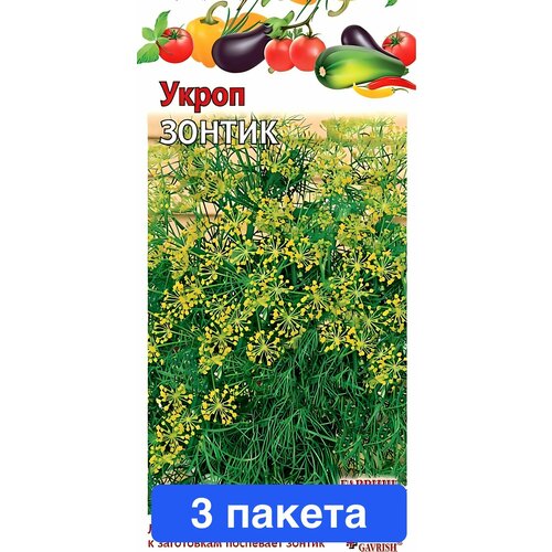 ������ ������ ������ ������ � ��������� ������ 