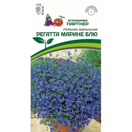 ������ ������ ������ ������� ��������� 