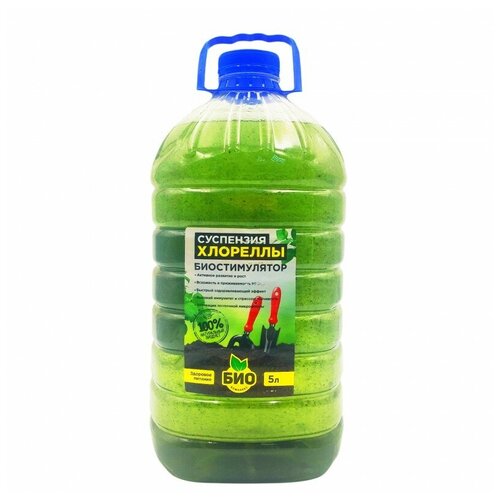 ������ ������ �������� ��������� 5� (������������� �����, �������� ��������� ��������) ����