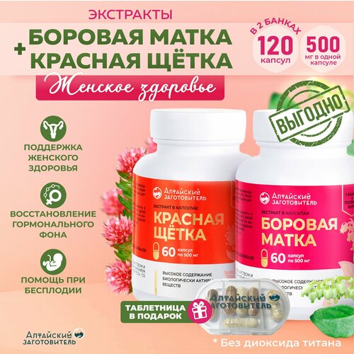 ������ ������ ������� ����� � ������� ����� ������� 500 ��, 2 ����� �� 60 ��. - ��������� ������������ ����