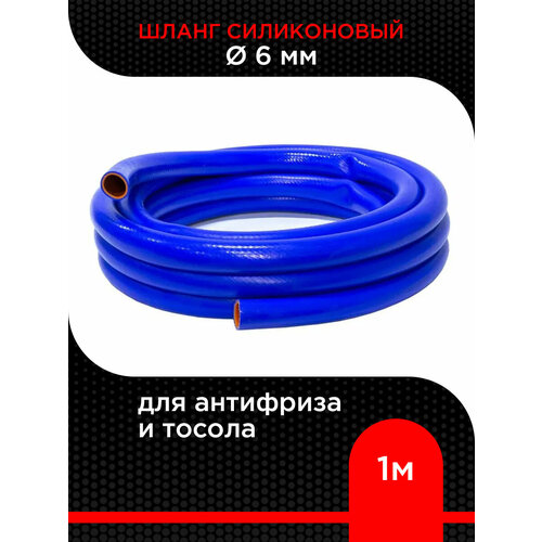 ������ ������ ����� ����������� d 6 �� ( 1 � ) ��� ��������� � ������ ����