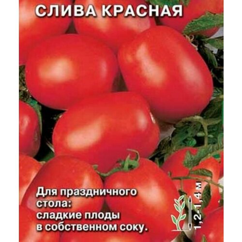 ������ ������ ������ �������� ����� �������� ����� ������� ����