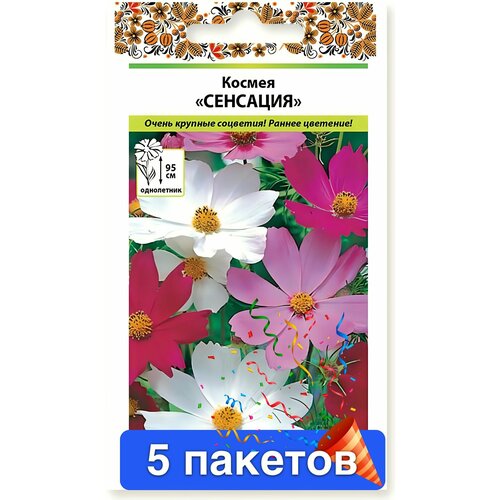 ������ ������ ����� ������ �������� 5 ������� ����