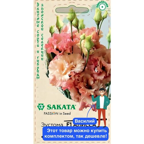 ������ ������ ����� ������� ������ ����������� F1 ����