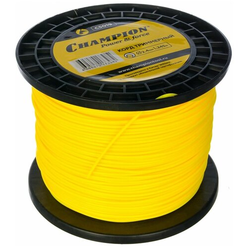 ������ ������ ����� (����) CHAMPION Round 2.4 �� 1.63 ����