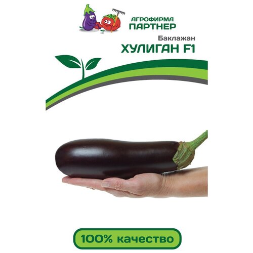 ������ ������ �������� ������� F1 ����