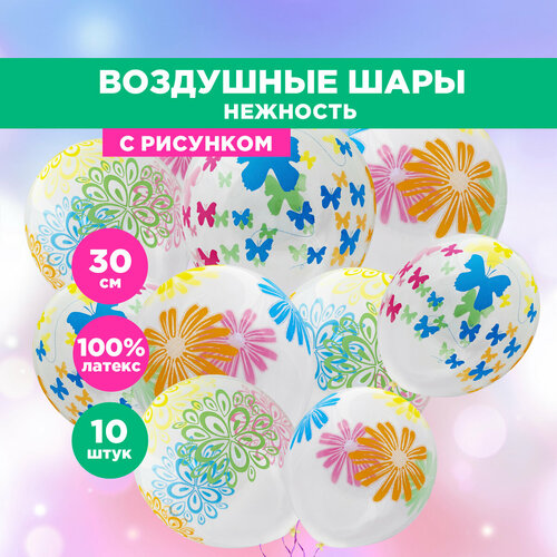 ������ ������ ����� ��������� ����� Paterra ��������, ���������� � ��������, 10 ��. ����