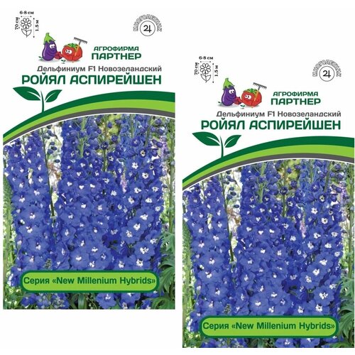 ������ ������ ������ ���������� ����� ���������� F1 /��������� �������/ 2 ��������, 6 ����� ����