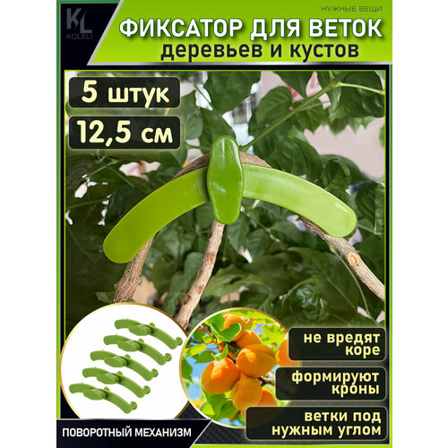 ������ ������ KoLeli / ���������� ��������� ��� ����� / �������� ��� ��������, ������������� ����� � ������, ��������� / 5 �� ����