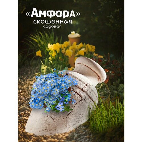 ������ ������ ������ ��������� ����