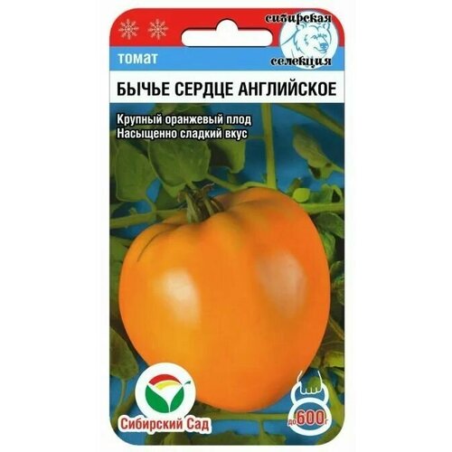 ������ ������ ����� ����� ������ ���������� / 20����� � 1 ��������/��� ��� ����