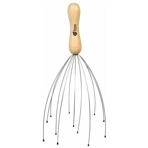 ������ ������ �������� ��� ������ ������ ������ ����������, ������ ����