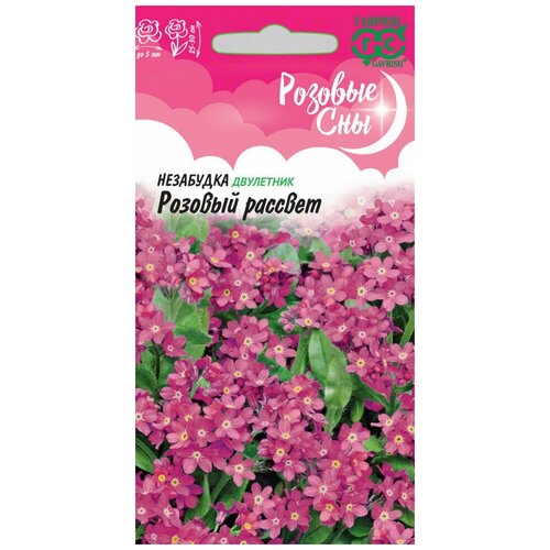 ������ ������ ��������� ������� ������� ����