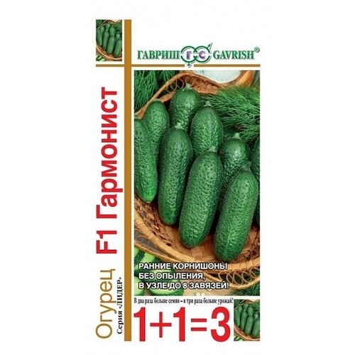 ������ ������ ������ ��������� 1+1 20�� ������ ����