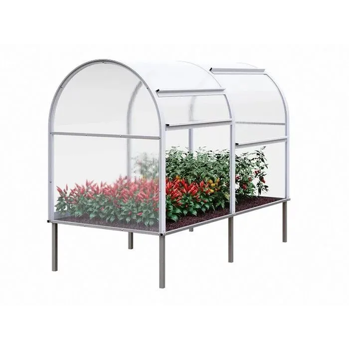 ������ ������ ������ ������� ���� 2 ����� ����