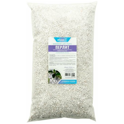 ������ ������ ���������� 10� ����