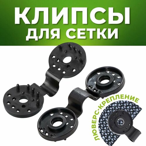 ������ ������ ������ ��� ����� 