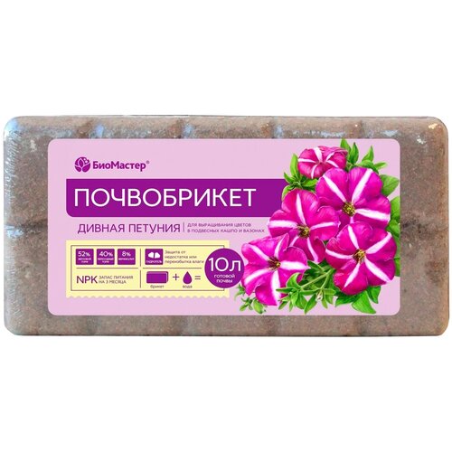 ������ ������ ����������� ��������� ������ ������� � ����������, 10 �, 7 ��. ����