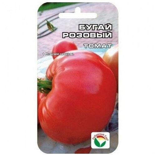 ������ ������ ������ ����� 