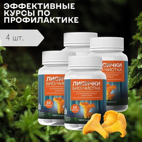 ������ ������ �������� �� ��������� ������� ���-������� ���������, 4 ��, 240 ������ ����