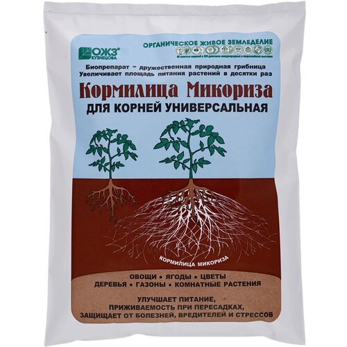 ������ ������ ��������� 