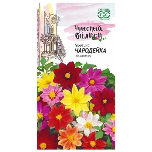 ������ ������ ������. �������� 