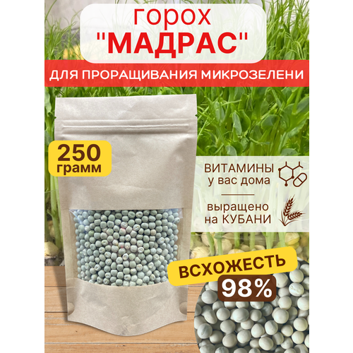 ������ ������ ����� ������ ����