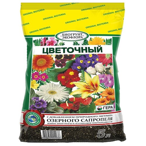 ������ ������ �������� ���� ��������� �������, 5 �, 0.5 �� ����