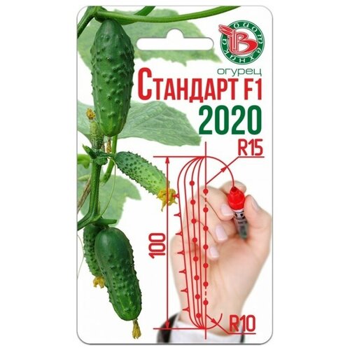 ������ ������ ������� ������ 