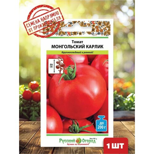 ������ ������ ������ ����� ����������� ������ ����